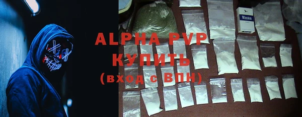 шишки Беломорск