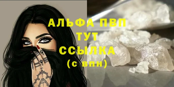 шишки Беломорск