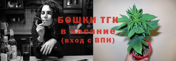 прущие крисы Белокуриха
