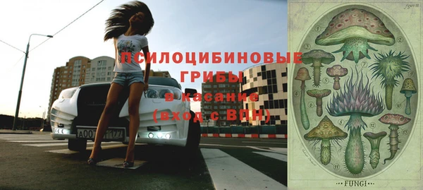 эйфоретик Богородск