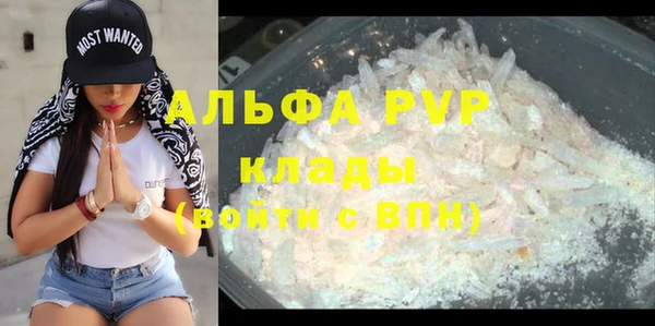 прущие крисы Белокуриха