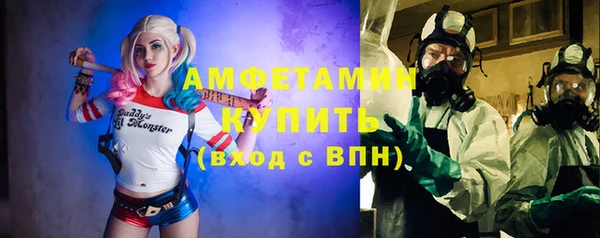 шишки Беломорск