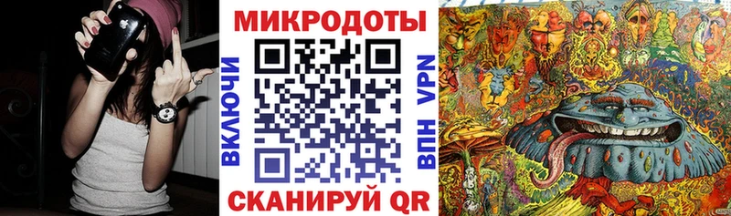 Галлюциногенные грибы Psilocybe  Астрахань 